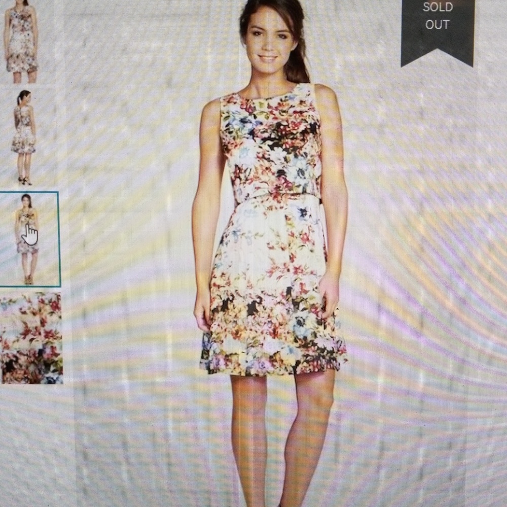 Plus size fit and flare pop over two piece dress